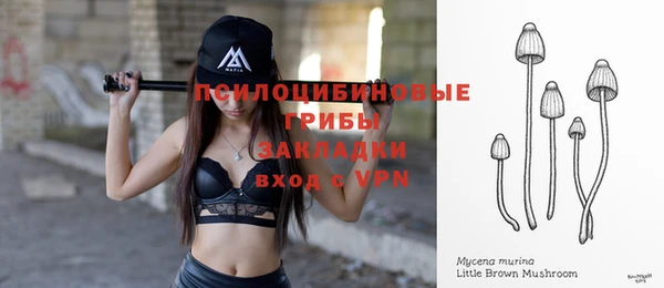 спиды Алексин