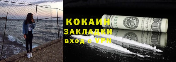 стафф Алзамай