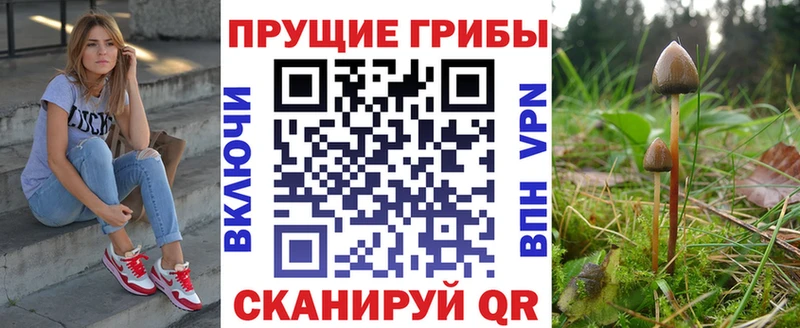 Псилоцибиновые грибы Magic Shrooms ссылка на мегу как войти Копейск