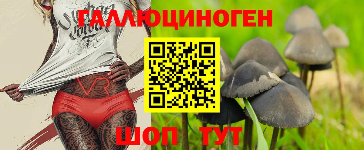 Копейск  Псилоцибиновые грибы Psilocybe  Вход с VPN 