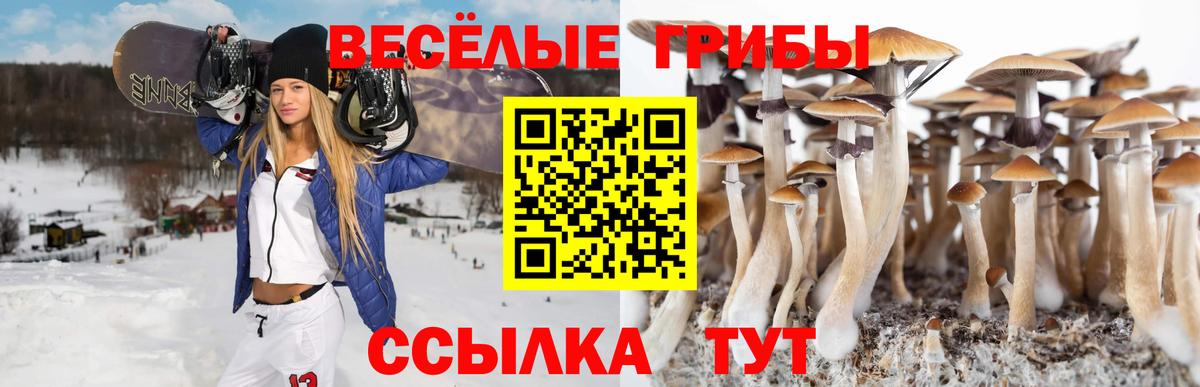 Псилоцибиновые грибы MAGIC MUSHROOMS Копейск